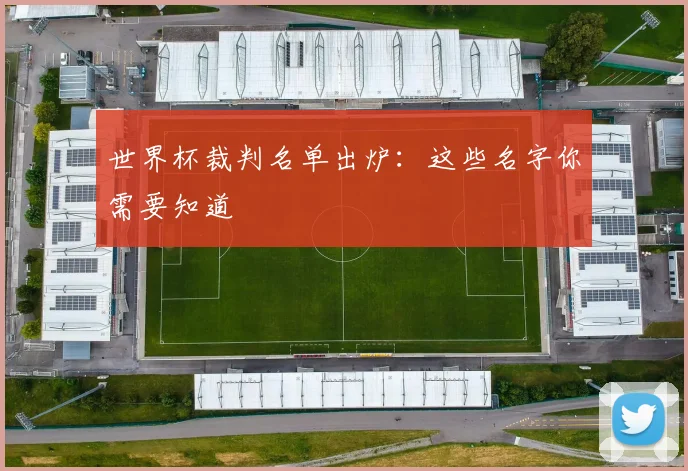 世界杯裁判名单出炉:这些名字你需要知道