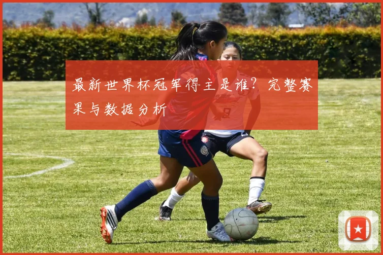 最新世界杯冠军得主是谁？完整赛果与数据分析